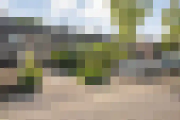 Jellissenkamp 90 Zwolle thumbnail 31