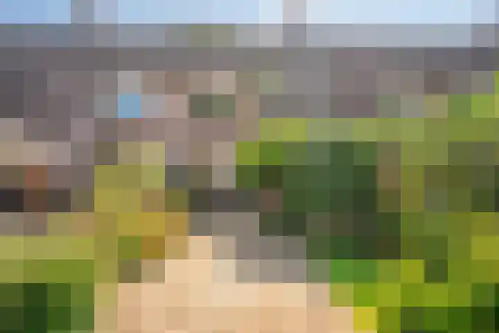 Jellissenkamp 90 Zwolle thumbnail 38