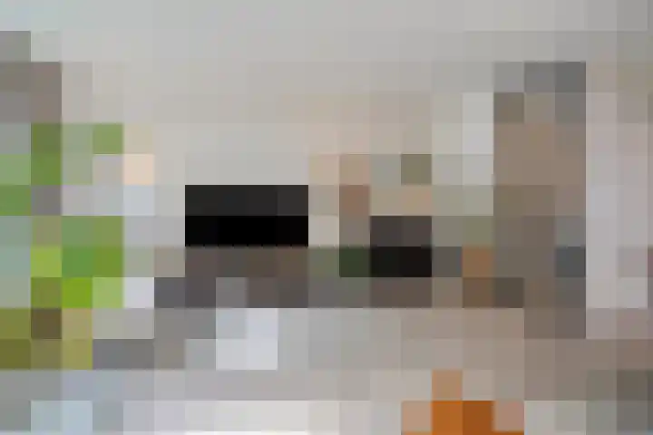 Jellissenkamp 90 Zwolle thumbnail 7