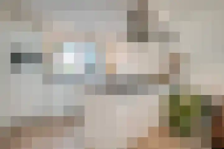 Jellissenkamp 90 Zwolle thumbnail 8