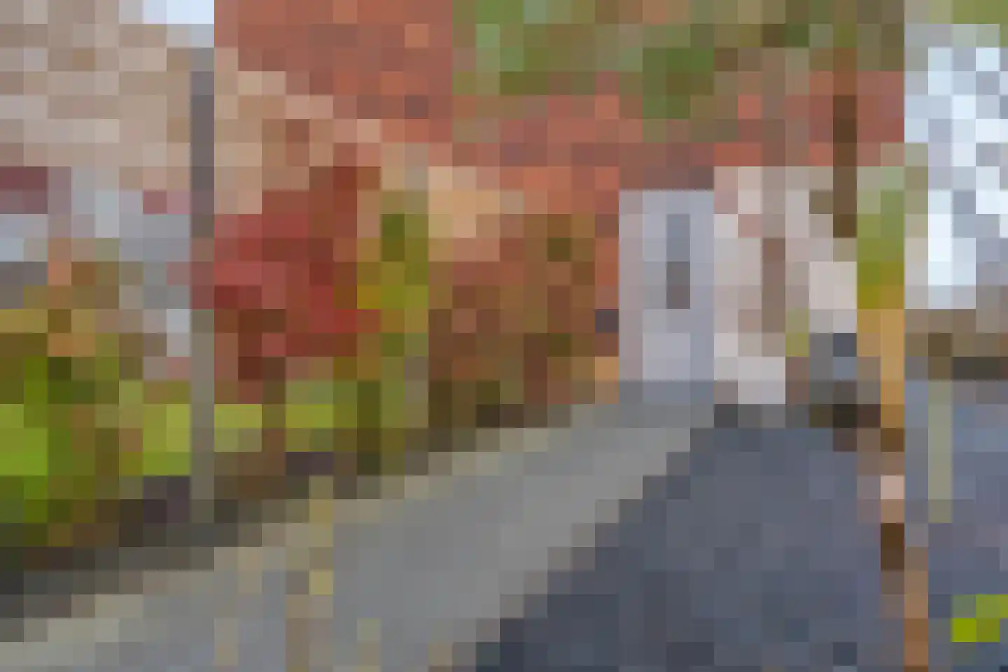 Jelte Dijkstrastraat 8 Delfzijl thumbnail 15