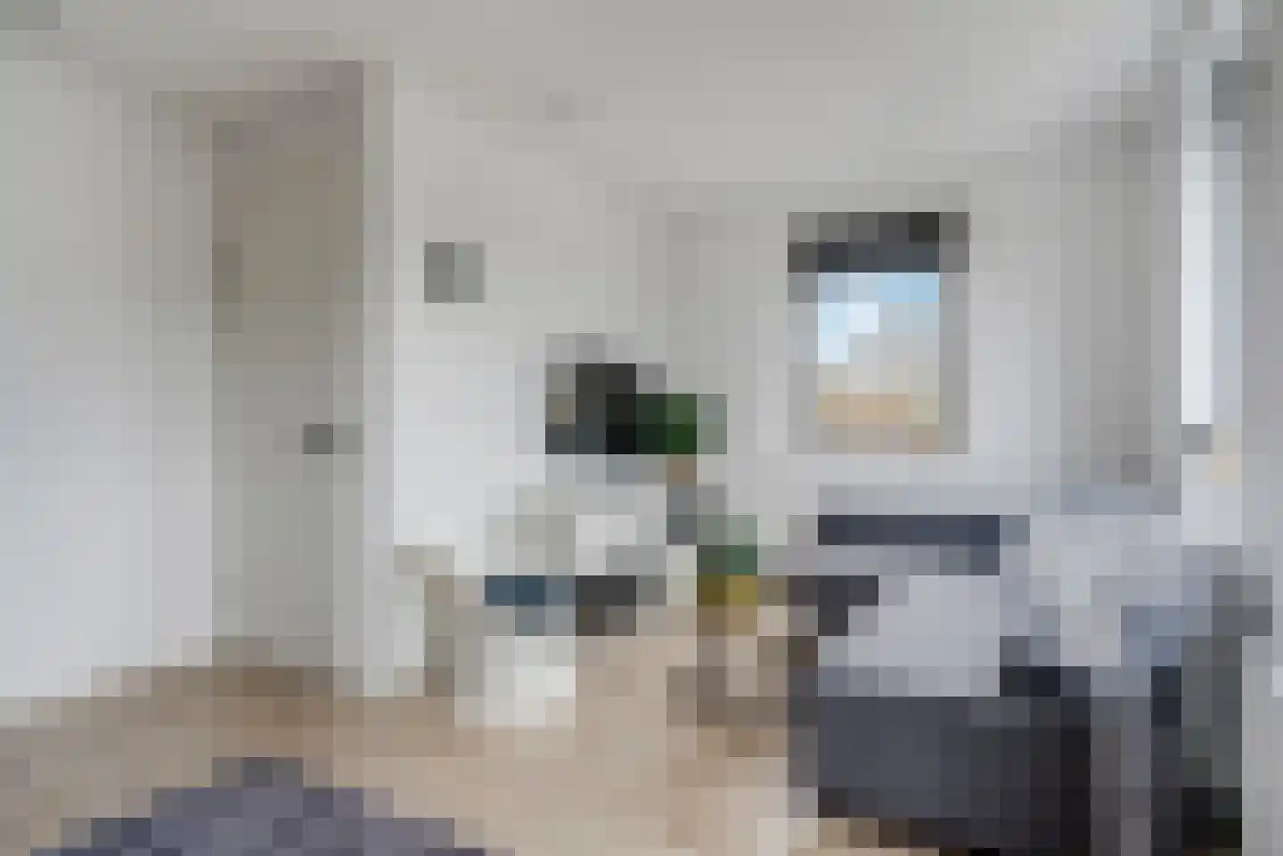 Jelte Dijkstrastraat 8 Delfzijl thumbnail 49