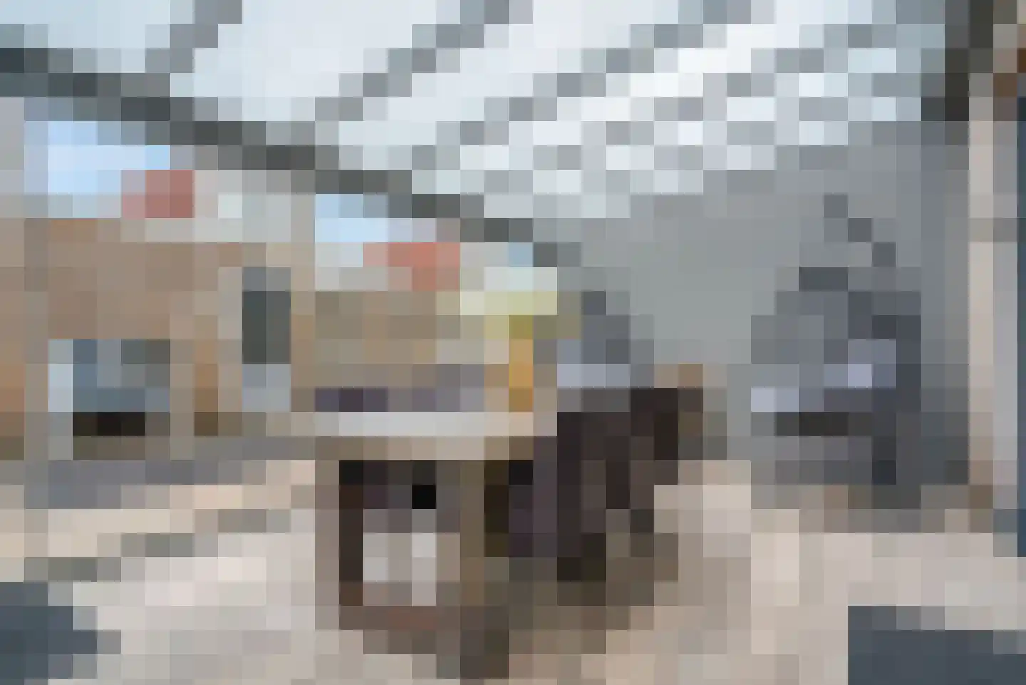 Jelte Dijkstrastraat 8 Delfzijl thumbnail 50
