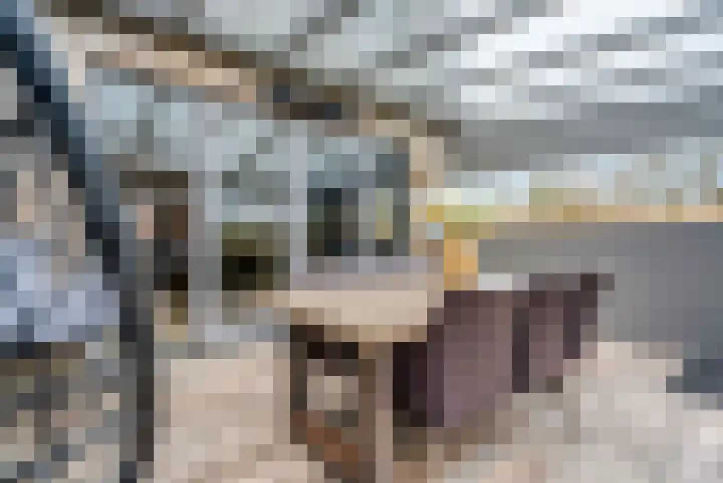 Jelte Dijkstrastraat 8 Delfzijl thumbnail 53