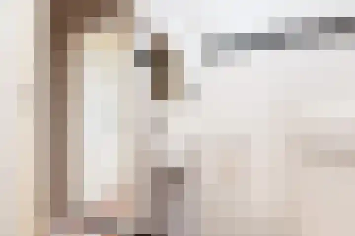 Jeltewei 164 Hommerts thumbnail 12