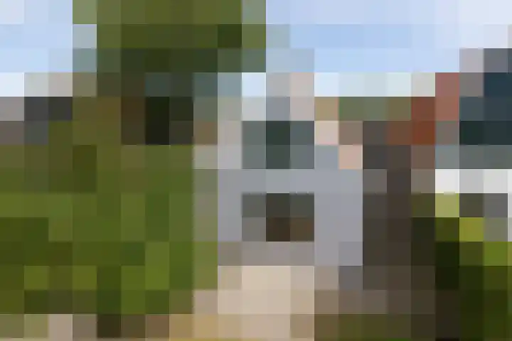 Jeltewei 164 Hommerts thumbnail 17