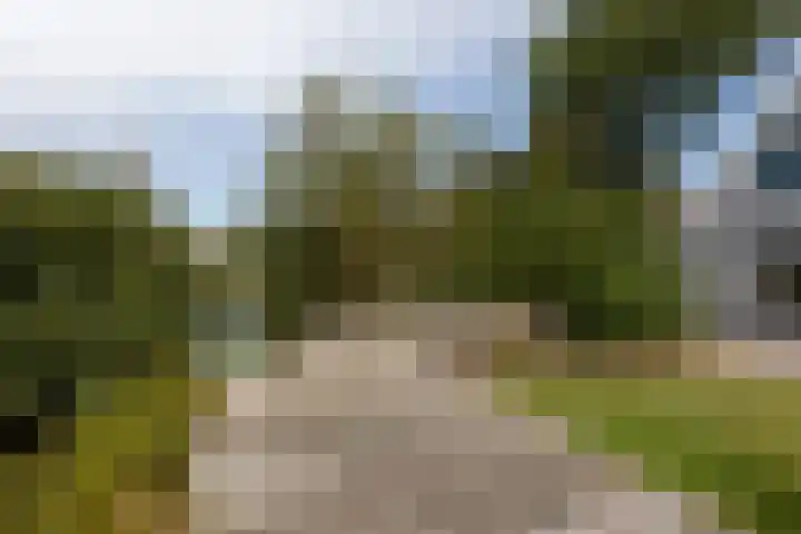 Jeltewei 164 Hommerts thumbnail 18