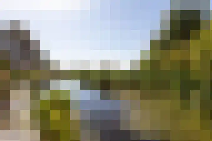 Jeltewei 164 Hommerts thumbnail 19