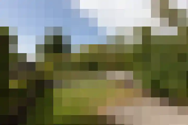 Jeltewei 164 Hommerts thumbnail 21