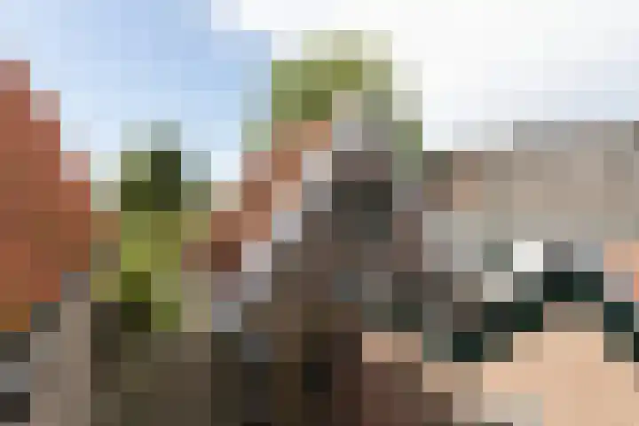 Jeltewei 164 Hommerts thumbnail 22