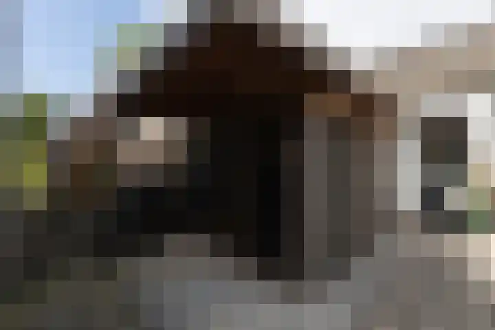 Jeltewei 164 Hommerts thumbnail 24