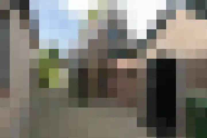 Jeltewei 164 Hommerts thumbnail 4