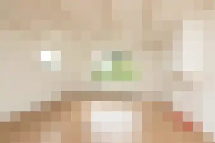 Jeltewei 164 Hommerts thumbnail 5