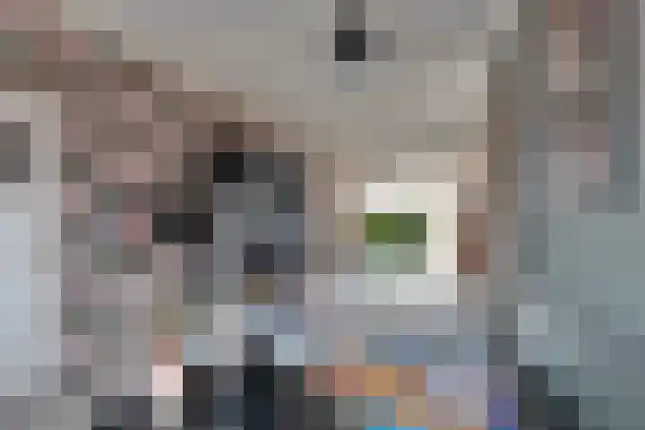 Jeltingalaan 11 Buitenpost thumbnail 14
