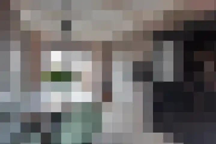 Jeltingalaan 11 Buitenpost thumbnail 15