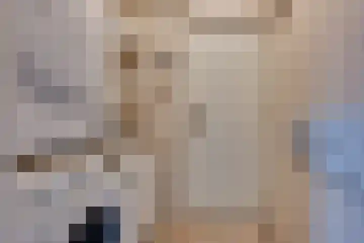 Jeltingalaan 11 Buitenpost thumbnail 27