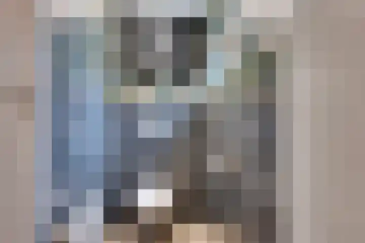 Jeltingalaan 11 Buitenpost thumbnail 28
