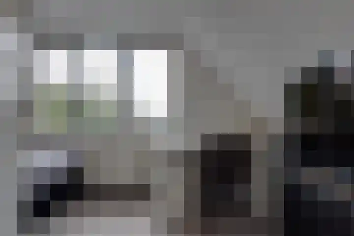 Jeltingalaan 11 Buitenpost thumbnail 38