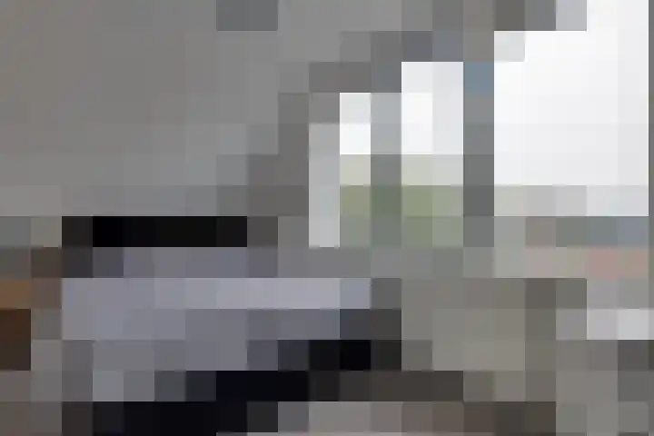 Jeltingalaan 11 Buitenpost thumbnail 39