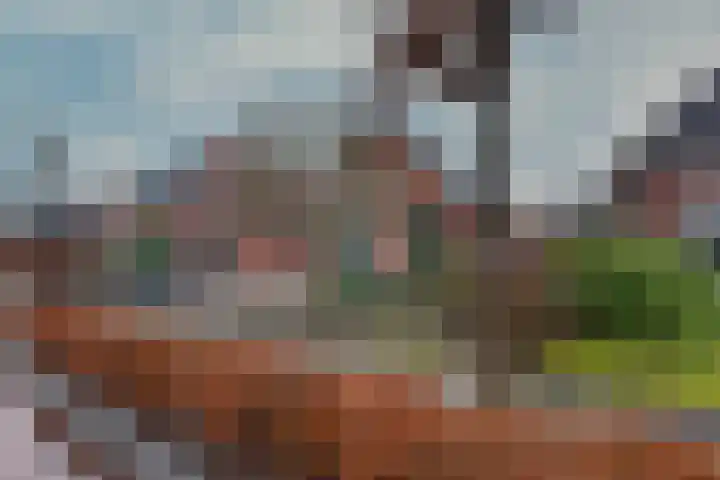 Jeltingalaan 11 Buitenpost thumbnail 45