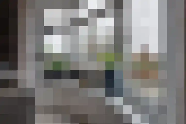 Jeltingalaan 11 Buitenpost thumbnail 9