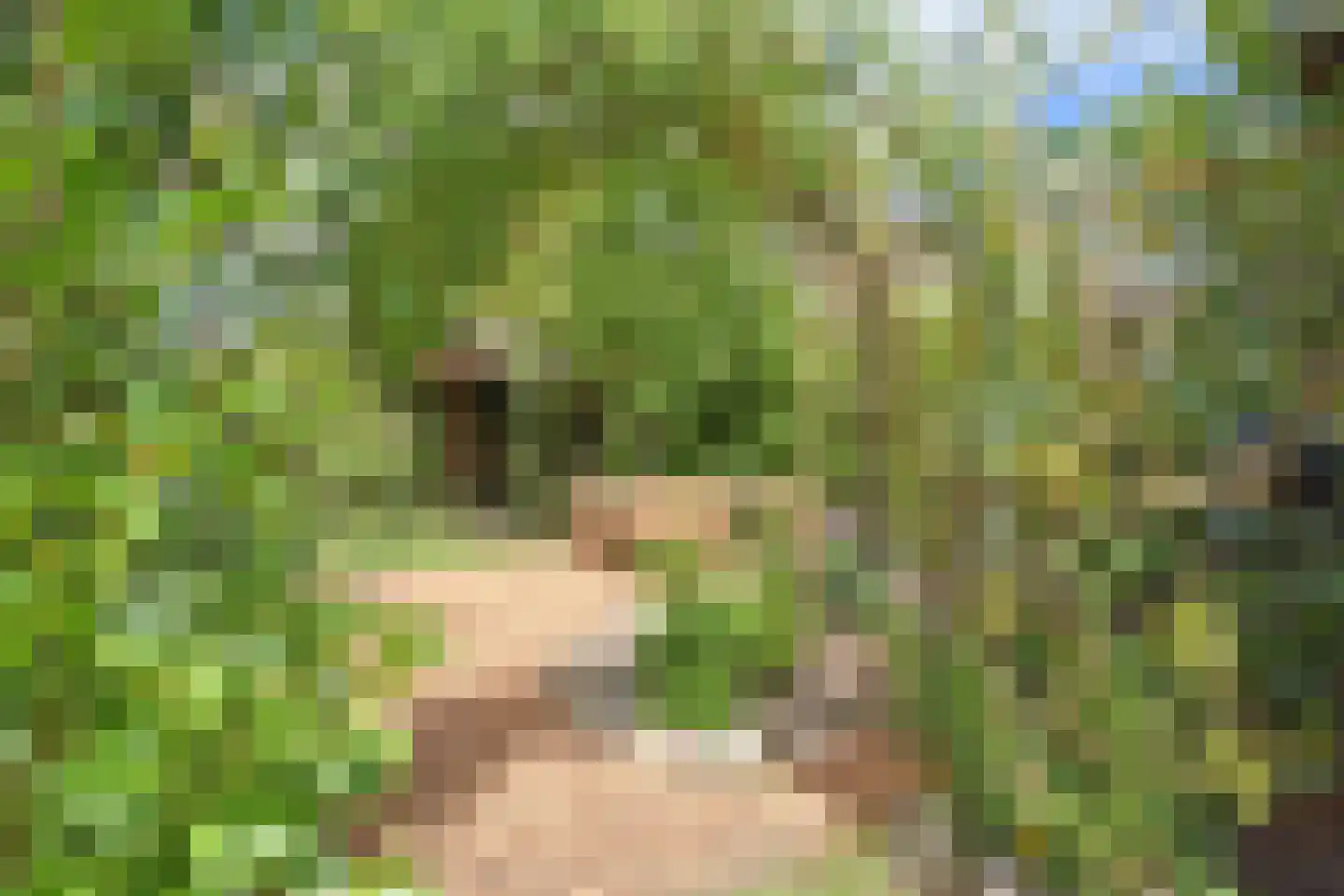 Jeltingalaan 12 Buitenpost thumbnail 17
