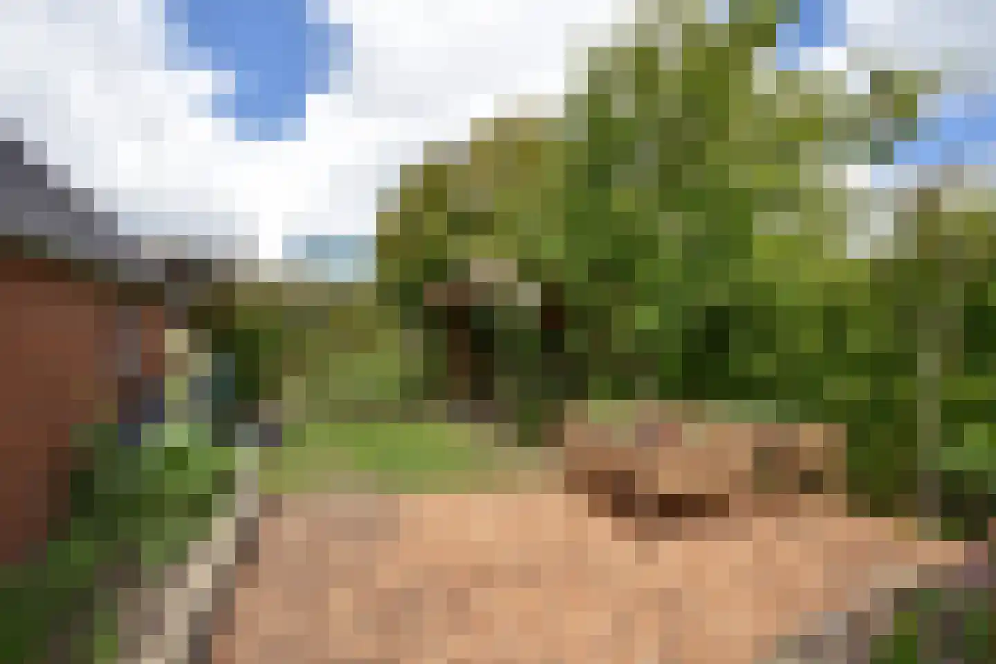 Jeltingalaan 12 Buitenpost thumbnail 18