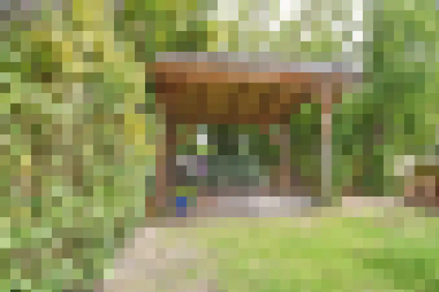 Jeltingalaan 12 Buitenpost thumbnail 19