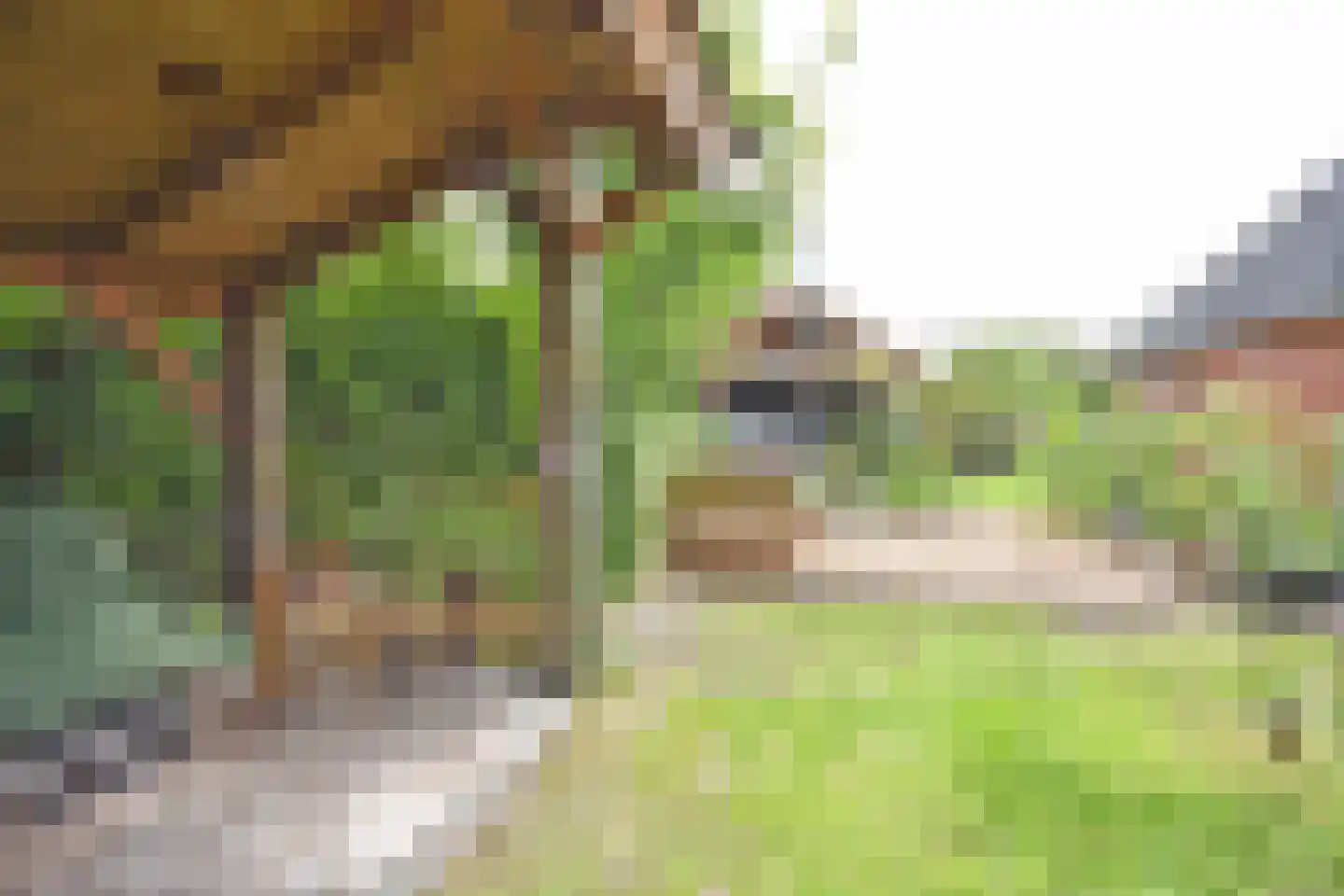 Jeltingalaan 12 Buitenpost thumbnail 20