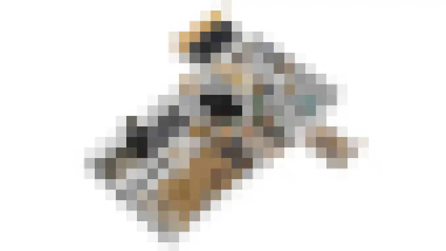 Jeltingalaan 12 Buitenpost thumbnail 24