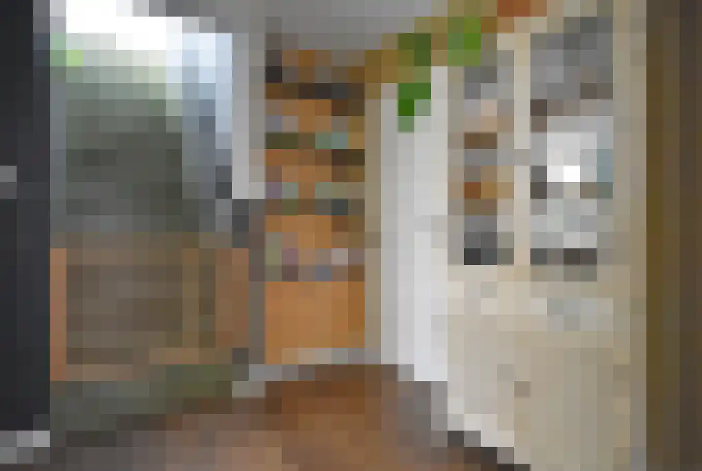 Jeltingalaan 12 Buitenpost thumbnail 39
