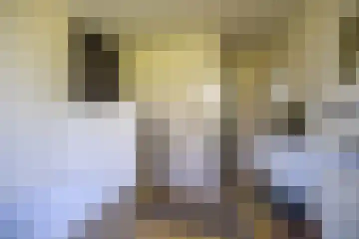 Jeltingalaan 52 Buitenpost thumbnail 19