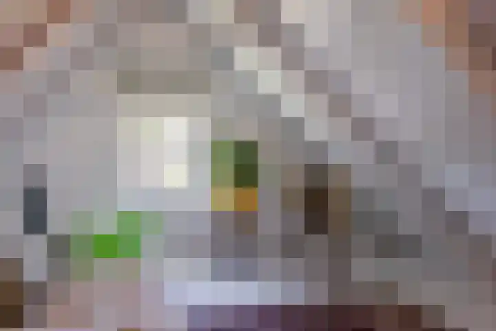 Jeltingalaan 52 Buitenpost thumbnail 33