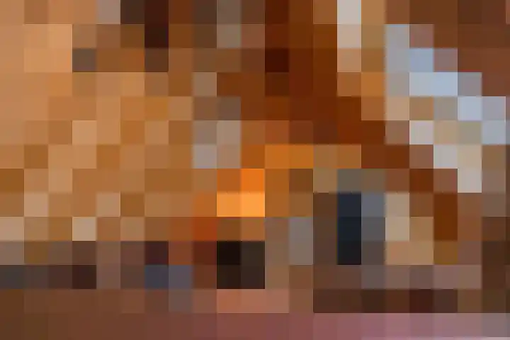 Jeltingalaan 52 Buitenpost thumbnail 37