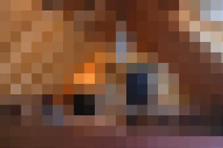 Jeltingalaan 52 Buitenpost thumbnail 38