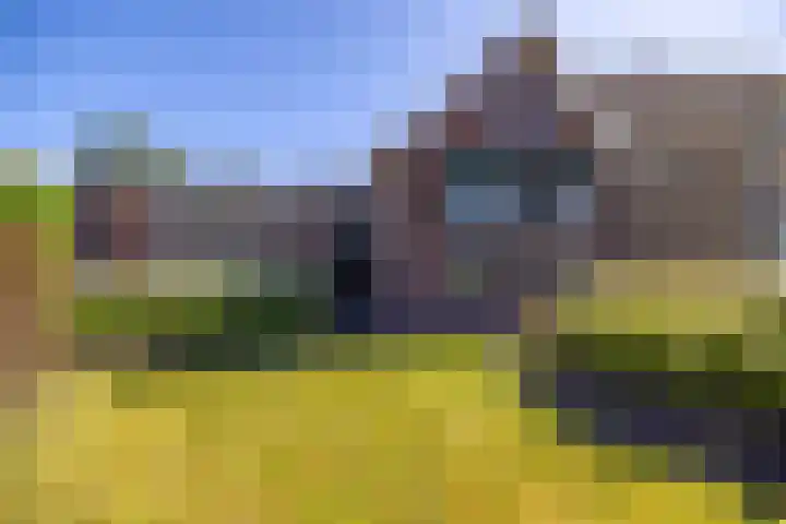 Jeltingalaan 52 Buitenpost thumbnail 45