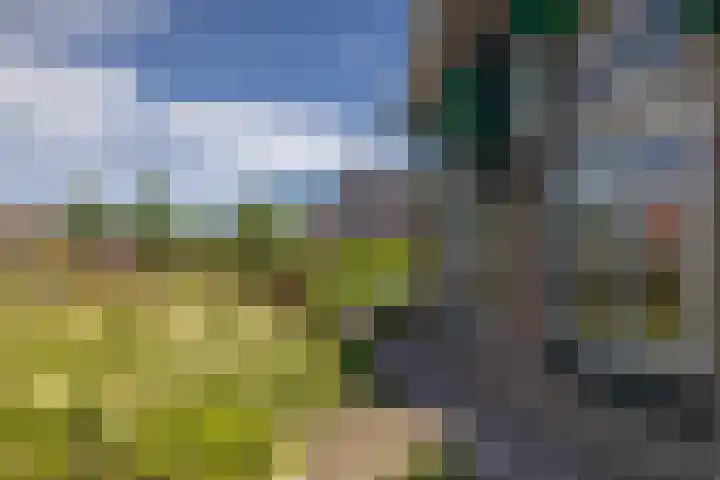 Jeltingalaan 52 Buitenpost thumbnail 46