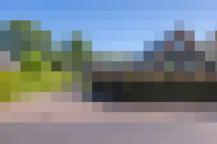 Jeltingalaan 52 Buitenpost thumbnail 47