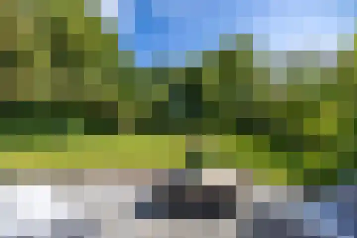 Jeltingalaan 52 Buitenpost thumbnail 5