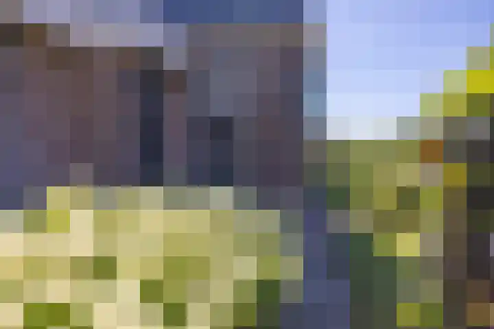 Jeltingalaan 52 Buitenpost thumbnail 52