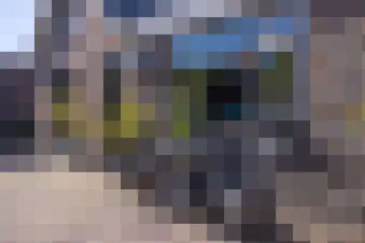 Jeltingalaan 52 Buitenpost thumbnail 57