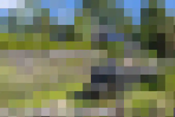 Jeltingalaan 52 Buitenpost thumbnail 59