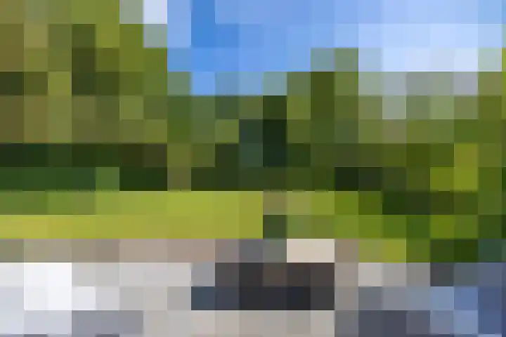 Jeltingalaan 52 Buitenpost thumbnail 63