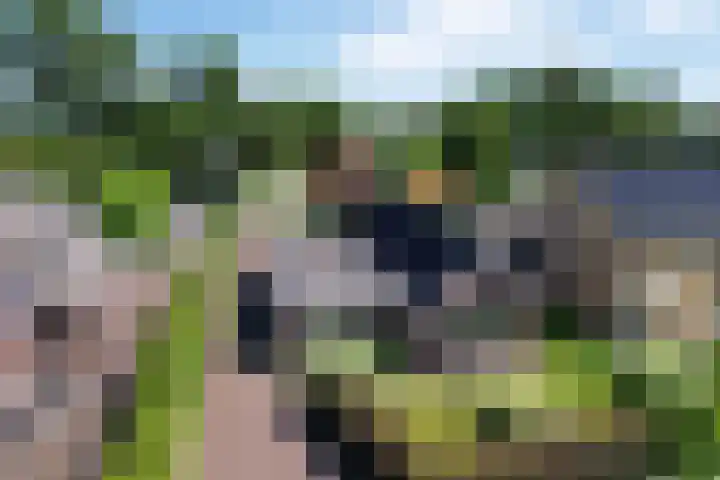 Jeltingalaan 52 Buitenpost thumbnail 69
