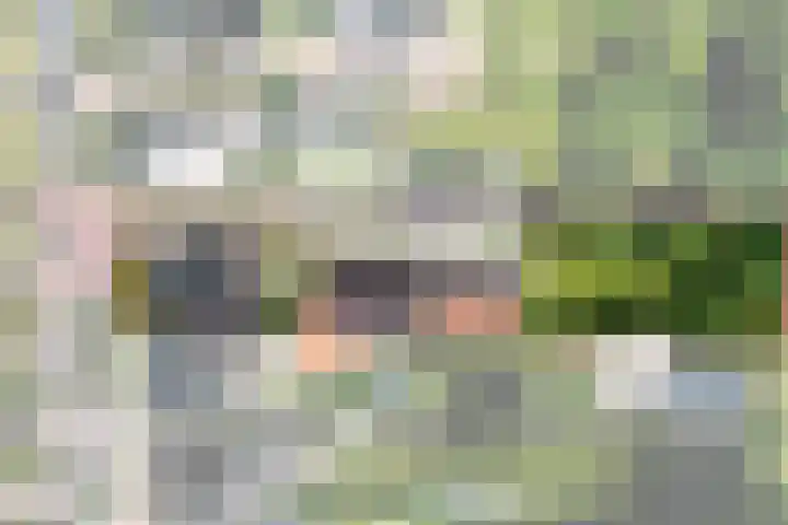 Jeltingalaan 52 Buitenpost thumbnail 70