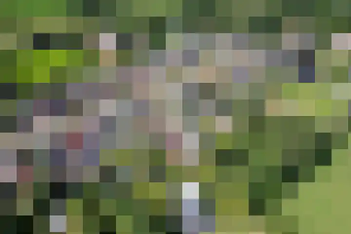 Jeltingalaan 52 Buitenpost thumbnail 73