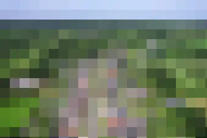 Jeltingalaan 52 Buitenpost thumbnail 74