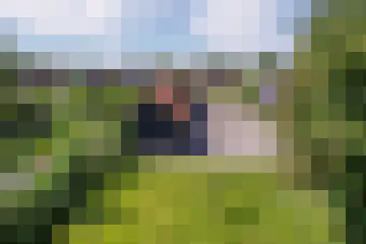 Jeltingalaan 52 Buitenpost thumbnail 78