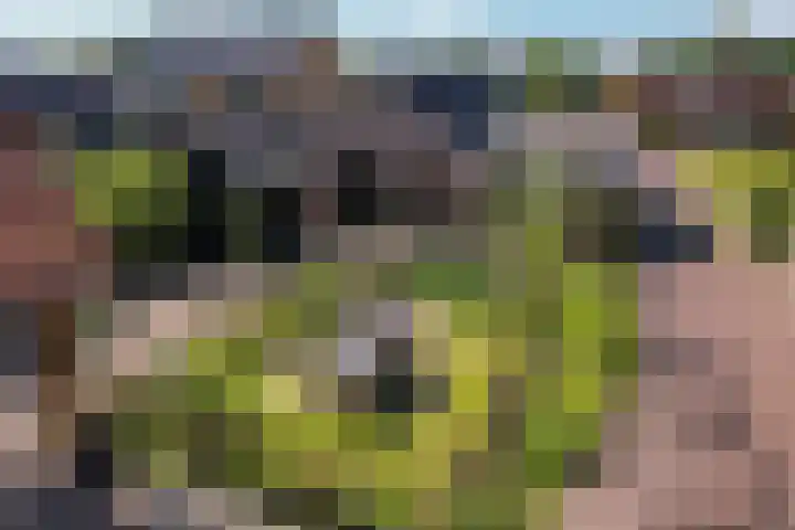 Jeltingalaan 52 Buitenpost thumbnail 79