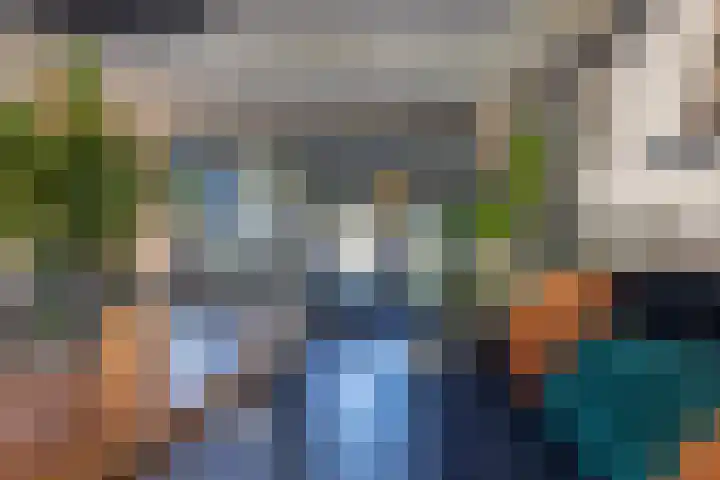 Jeltingalaan 52 Buitenpost thumbnail 8